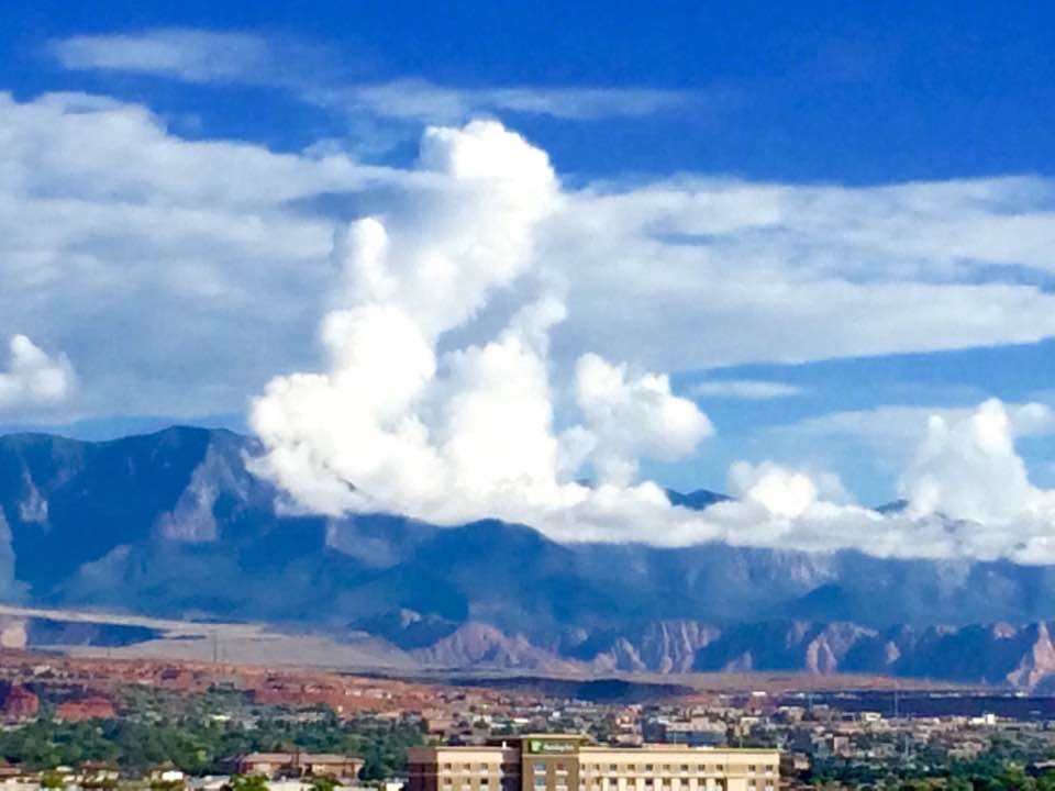 palms_silhouette_png_smalllogopng Hillside Palms RV Park ☀ St